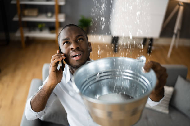 Best Water damage cleanup near me  in Raton, NM