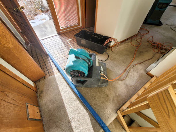 Best Sewage cleanup and water damage restoration  in Raton, NM