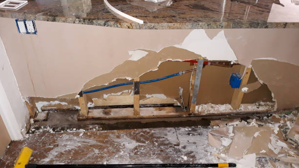 Best Water damage restoration mold remediation  in Raton, NM