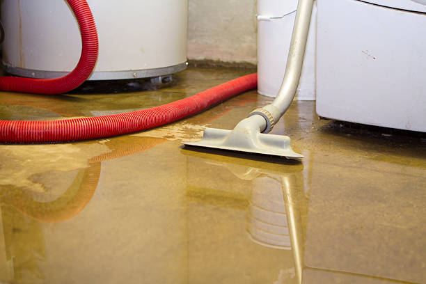  Raton, NM Water damage restoration Pros