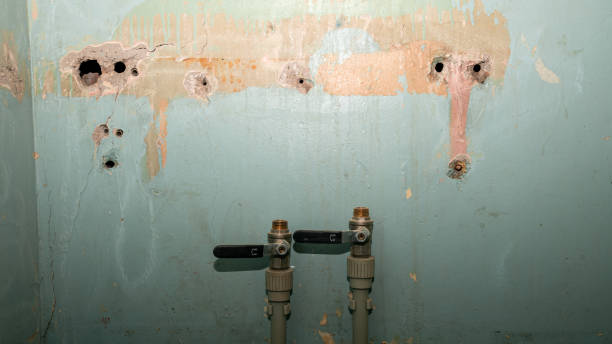 Best Residential water damage restoration  in Raton, NM