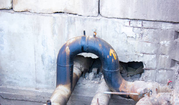Best 24/7 water damage repair  in Raton, NM