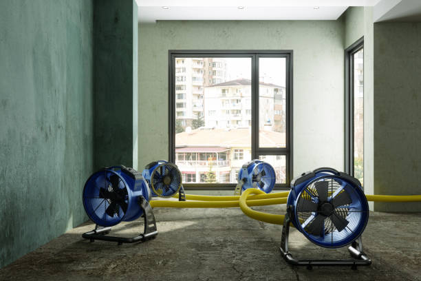 Best Flood restoration services  in Raton, NM